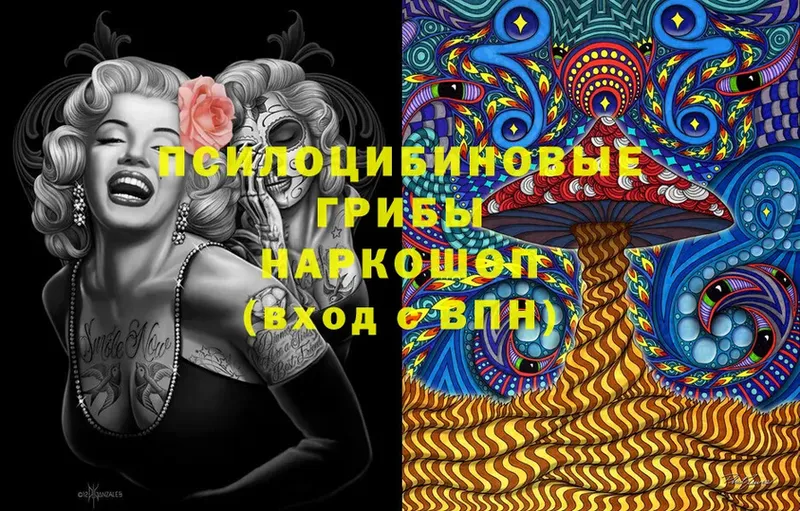 где найти   Богданович  Псилоцибиновые грибы Psilocybe 