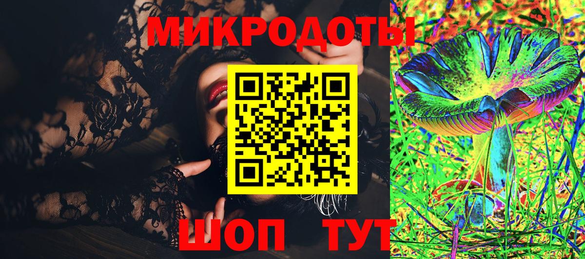 Галлюциногенные грибы Psilocybine cubensis  Богданович 