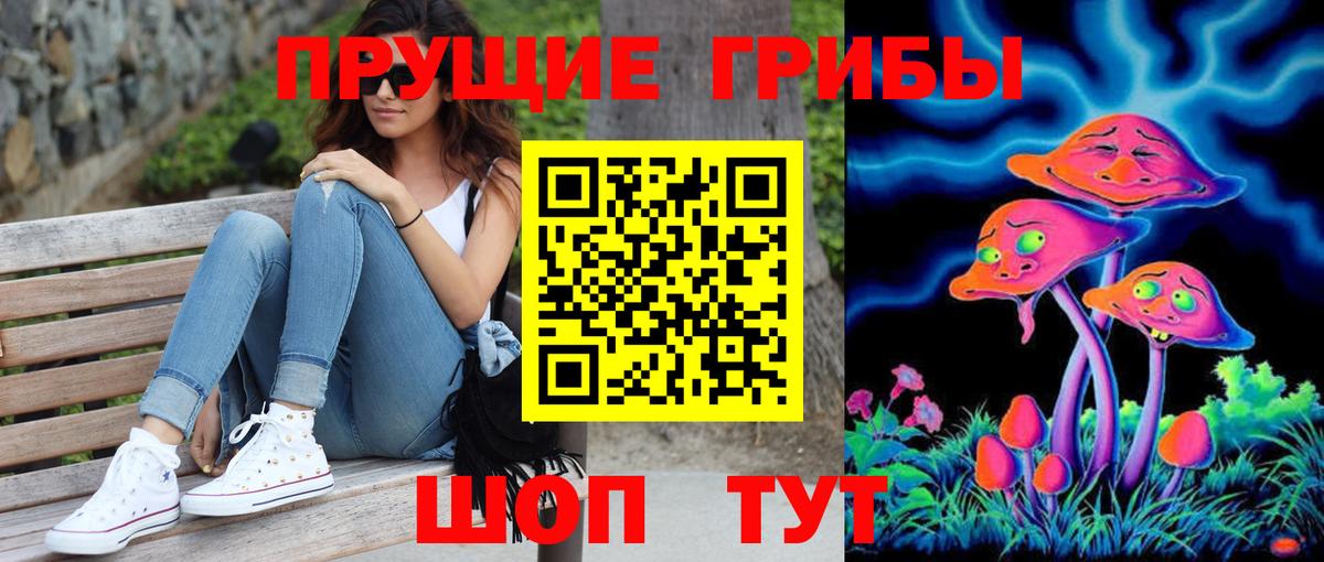 Псилоцибиновые грибы Psilocybe  Галлюциногенные грибы Psilocybine cubensis  Богданович  Вход с VPN 