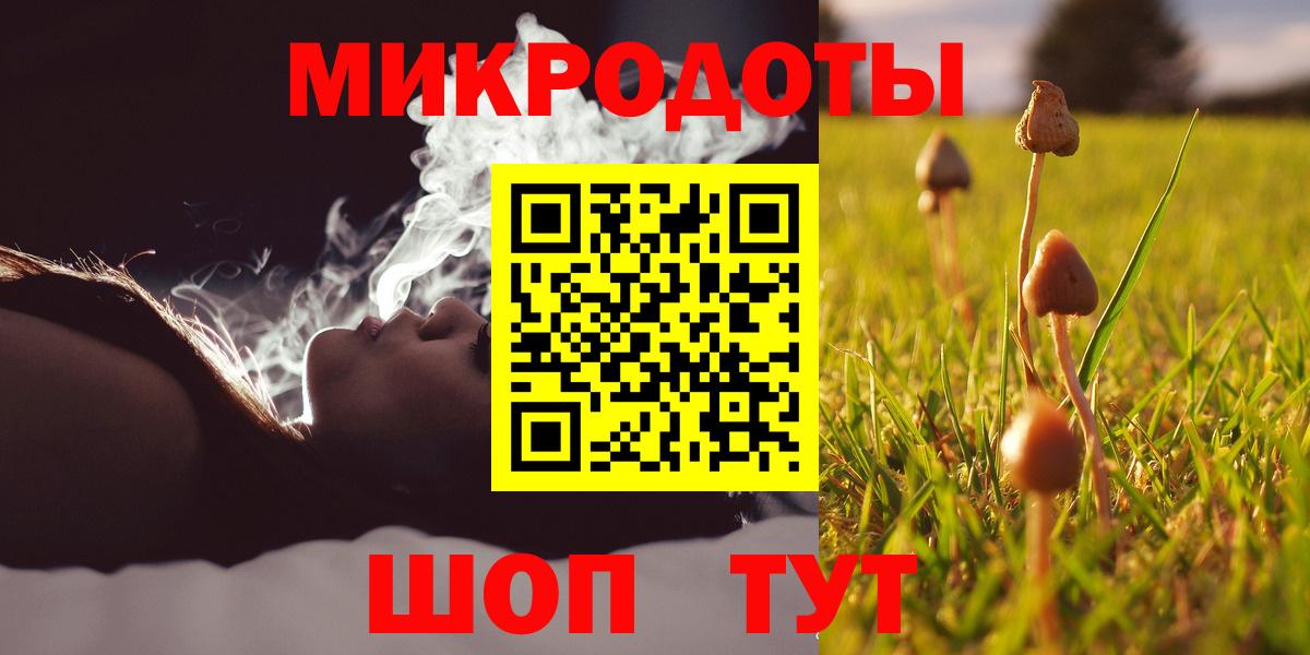 Псилоцибиновые грибы мухоморы Богданович